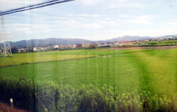200908081529363.jpg