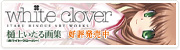 White clover