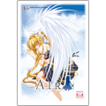 AIR Standard Edition