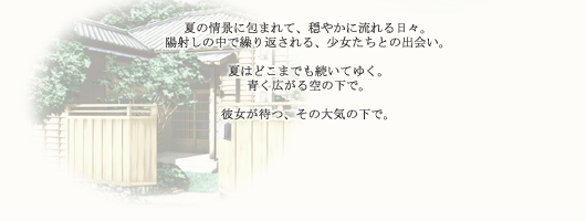 ストーリーの説明